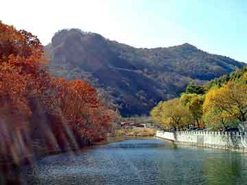 澳门二四六天天彩图库，食堂快餐桌